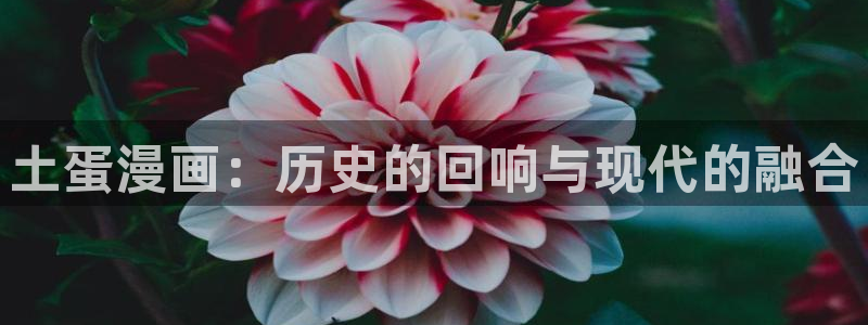虫虫漫画里的都是什么